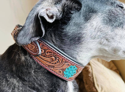 Hand-Tooled Leather Dog Collar - JayKayBoutiqueOnline