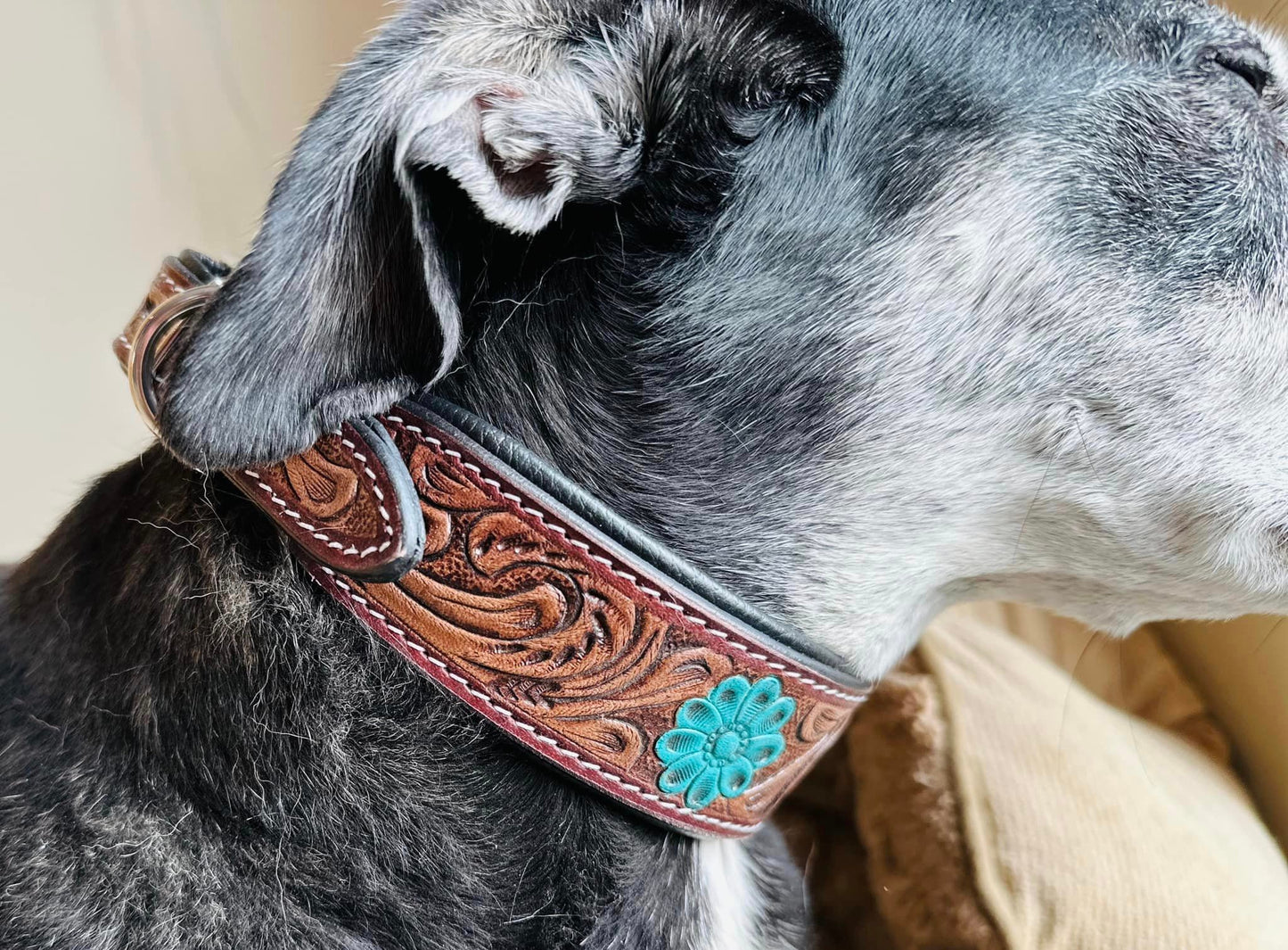 Hand Carved Leather Dog Collar Padded - JayKayBoutiqueOnline