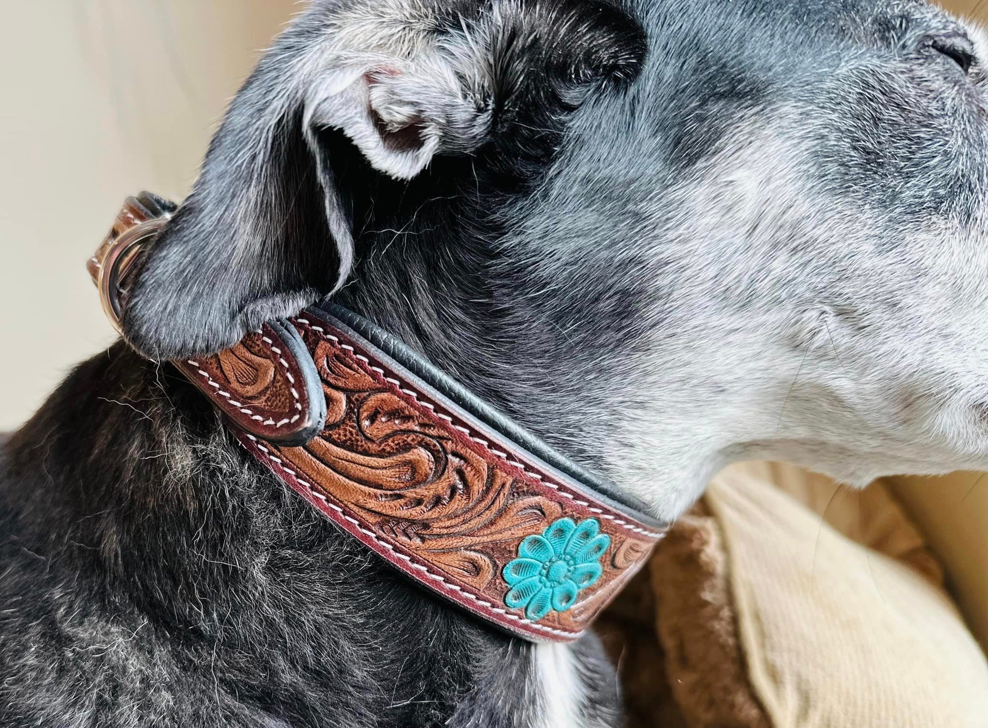 Hand Carved Leather Dog Collar Padded - JayKayBoutiqueOnline