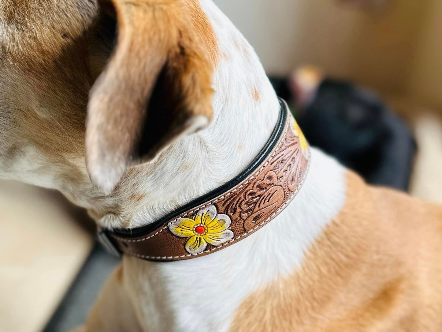 Hand Carved Leather Dog Collar Padded - JayKayBoutiqueOnline