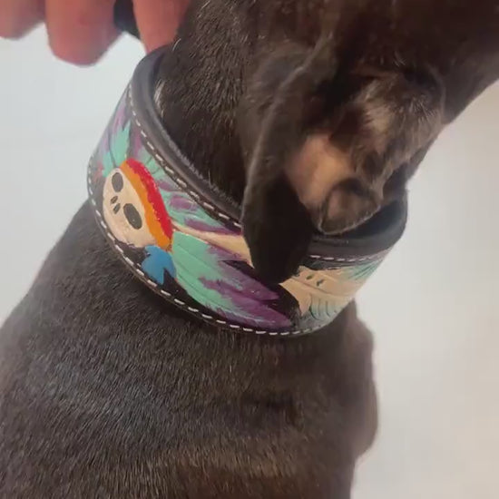 Hand Carved Leather Dog Collar Padded